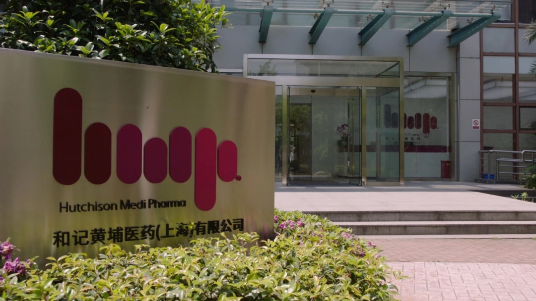 首页新闻中心新闻详情